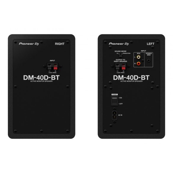 Pioneer DJ DM-40D BT