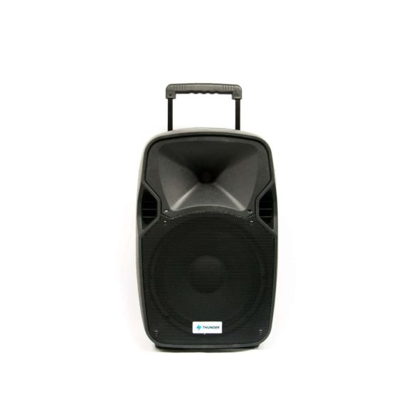 Thunder ACCU-12 600W