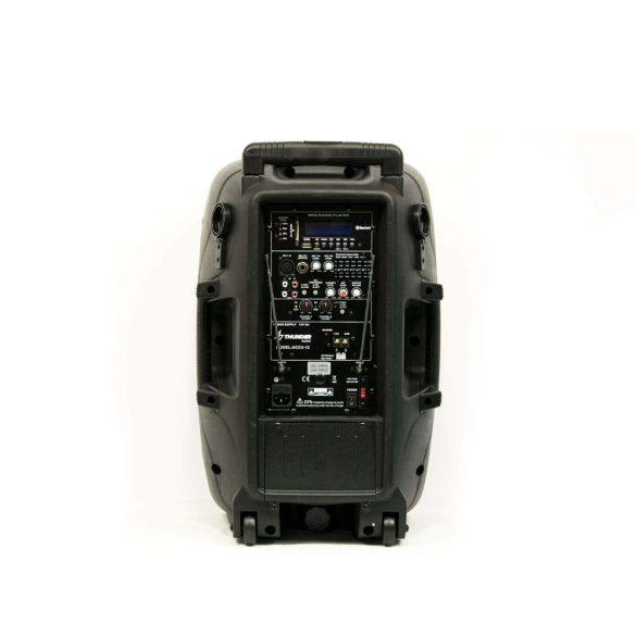 Thunder ACCU-12 600W