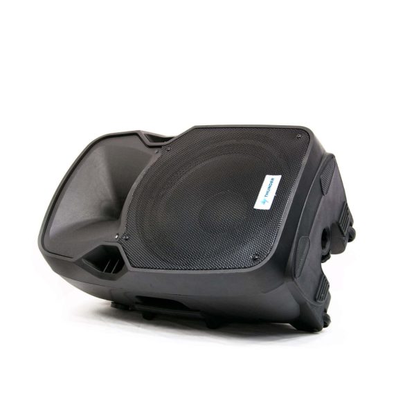 Thunder ACCU-12 600W