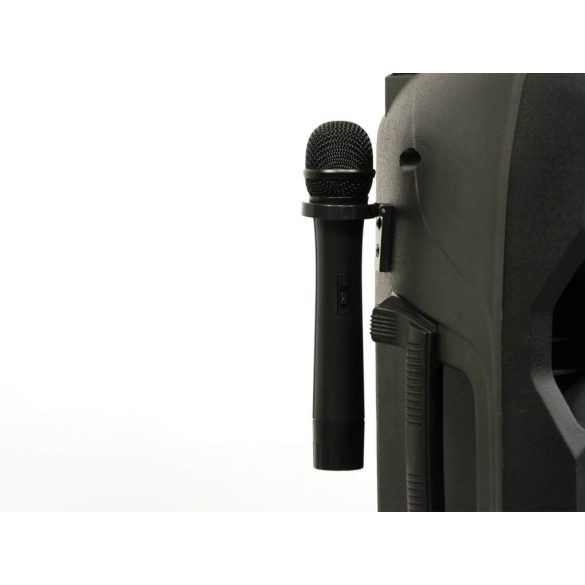 Thunder ACCU-12 600W