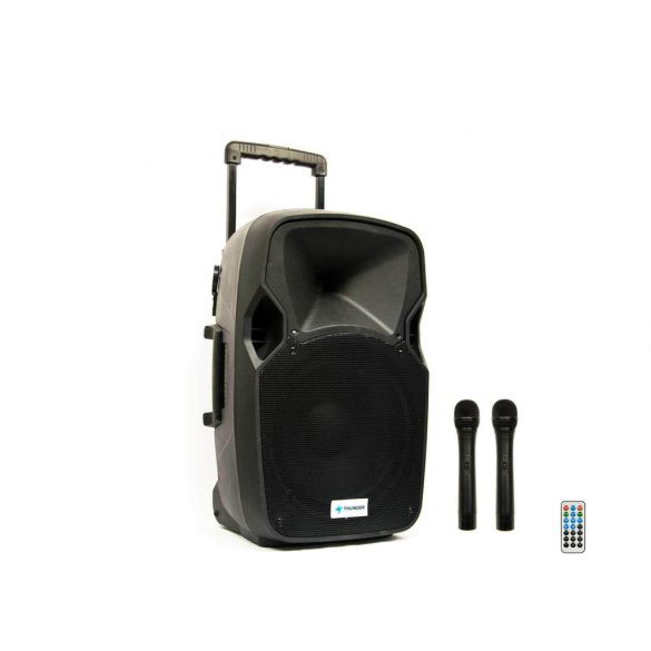 Thunder ACCU-12 600W