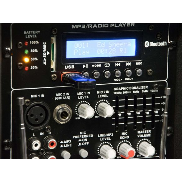 Thunder ACCU-12 600W