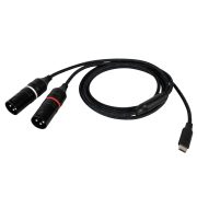 DAP FL115 USB-C / 2 x XLR 3P 75cm