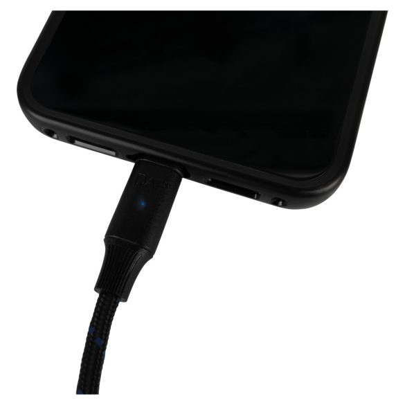 DAP FL115 USB-C / 2 x XLR 3P 1,5m