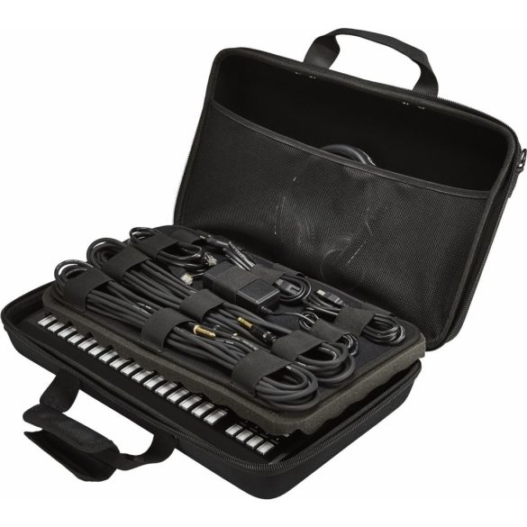 Pioneer DJ DJC-TSP16 BAG