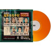 Algoriddim djay PRO AI Control Vinyl (Single, Orange) Algoriddim djay PRO AI Control Vinyl (Single, Orange)