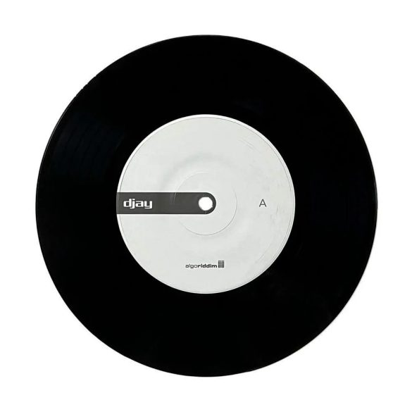 Algoriddim djay PRO AI 7" Control Vinyl (Single, Black)