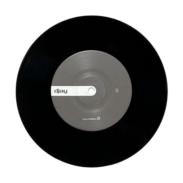 Algoriddim djay PRO AI 7" Control Vinyl (Single, Black)